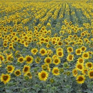 Meet your Posher, Stefan